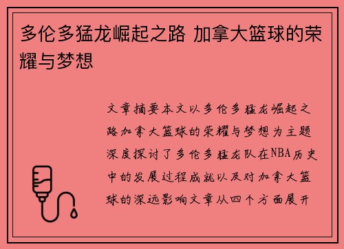 多伦多猛龙崛起之路 加拿大篮球的荣耀与梦想